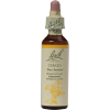 Cerato Bach Flower Remedy